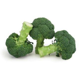 Compra BRÓCOLI MONRELLO F1 (50.000 semillas) en la tienda online Fito Agrícola