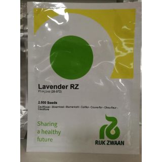 Compra COLIFLOR LAVENDER RZ F1 Precisión (2.500 Semillas). en la tienda online Fito Agrícola