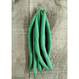 Compra JUDÍA BARCINO (100 gr.). en la tienda online Fito Agrícola