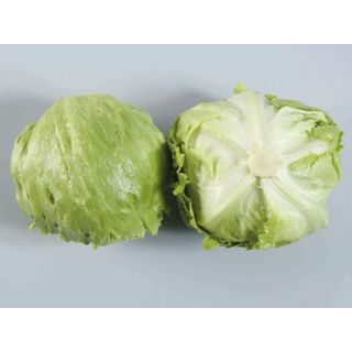 Compra LECHUGA BOTIOLA Pildorada (10.000 Semillas) en la tienda online Fito Agrícola