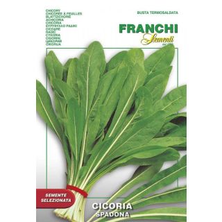 Compra ACHICORIA RADICHETA SPADONA (500 gr.). en la tienda online Fito Agrícola