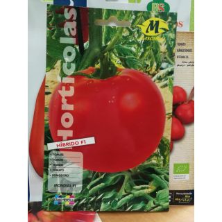 Compra TOMATE MONDIAL F1 (1.000 Semillas) en la tienda online Fito Agrícola
