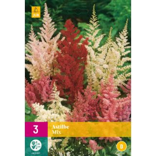 Compra ASTILBE MIX XXL en la tienda online Fito Agrícola