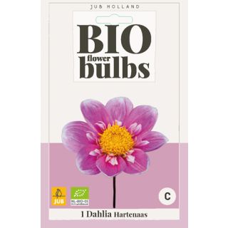 Compra DALIA HARTENAAS BIO en la tienda online Fito Agrícola
