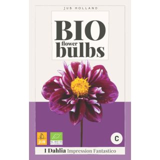 Compra DALIA IMPRESSION FANTASTICO BIO en la tienda online Fito Agrícola