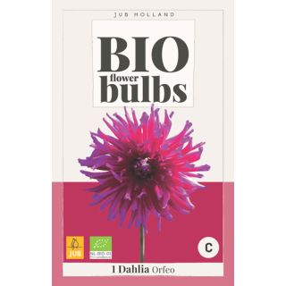 Compra DALIA ORFEO BIO en la tienda online Fito Agrícola