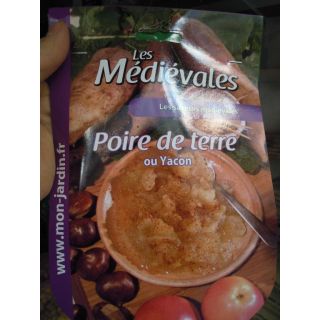 Compra YACÓN - POIRE DE TERRE (1 Unid.). en la tienda online Fito Agrícola