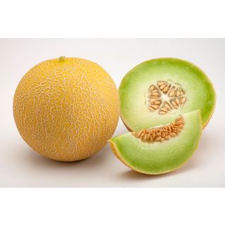Compra MELÓN CALIMA F1 (1000 Semillas). en la tienda online Fito Agrícola