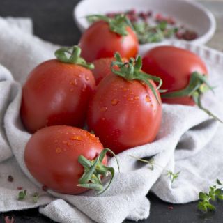 Compra TOMATE ESTRELLADE F1 (1000 Semillas). en la tienda online Fito Agrícola