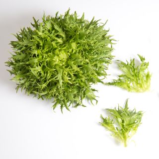 Compra LECHUGA FRISYGO Pildorada (5.000 Semillas) en la tienda online Fito Agrícola