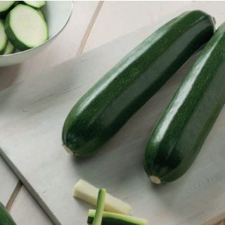 Compra CALABACÍN LOGOS F1 (1.000 Semillas) en la tienda online Fito Agrícola