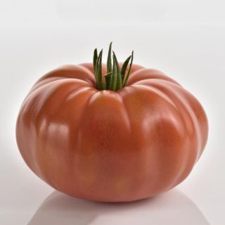 Compra TOMATE MARSILIA F1 BIO (1000 Semillas). en la tienda online Fito Agrícola