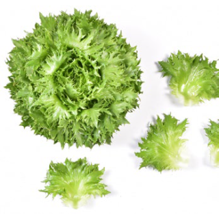 Compra LECHUGA VERIGO Pildorada (5.000 Semillas) en la tienda online Fito Agrícola