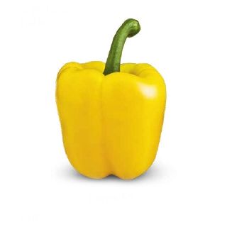 Compra PIMIENTO LORES F1 (1.000 Semillas). en la tienda online Fito Agrícola