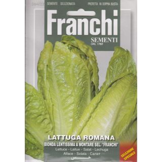 Compra LECHUGA RUBIA LENTISIMA MONTARE 4 Sel. Franchi (4 gr.) en la tienda online Fito Agrícola