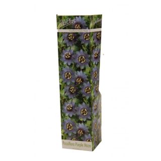 Compra PASSIFLORA PURPLE HAZE (1 Unid.). en la tienda online Fito Agrícola
