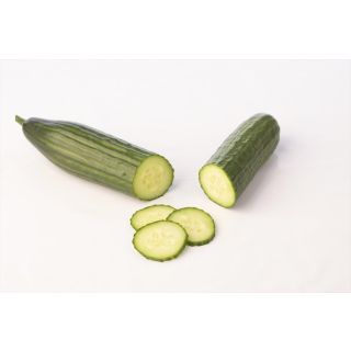 Compra PEPINO ABETO F-1 (1.000 Semillas) en la tienda online Fito Agrícola