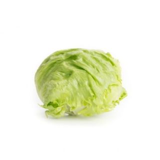 Compra LECHUGA IZANAS RZ Pildorada (5.000 Semillas). en la tienda online Fito Agrícola