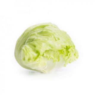 Compra LECHUGA FEDDENAS RZ Pildorada (5.000 Semillas). en la tienda online Fito Agrícola