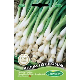 Compra CEBOLLINO GRUESO (500 gr.). en la tienda online Fito Agrícola