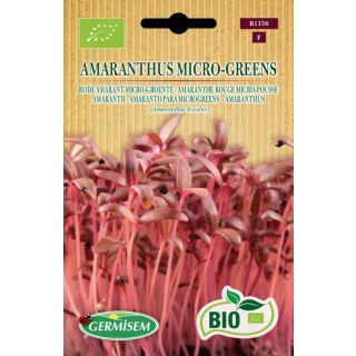 Compra AMARANTO ROJO MICROGREENS BIO (500 gr.). en la tienda online Fito Agrícola