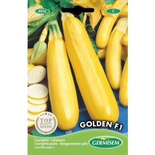 Compra CALABACÍN GOLDEN F1 (2 gr.). en la tienda online Fito Agrícola