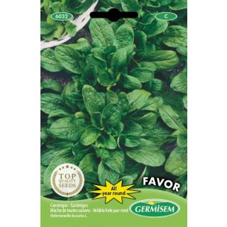 Compra CANÓNIGO FAVOR (100 gr.). en la tienda online Fito Agrícola