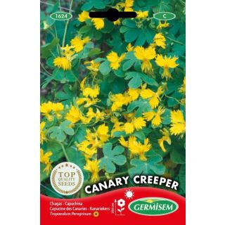 Compra CAPUCHINA CANARY CREEPER (2 gr.). en la tienda online Fito Agrícola