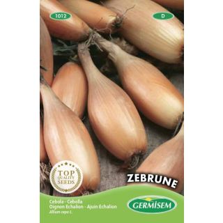 Compra CEBOLLA ECHALION ZEBRUNE (50 gr.). en la tienda online Fito Agrícola