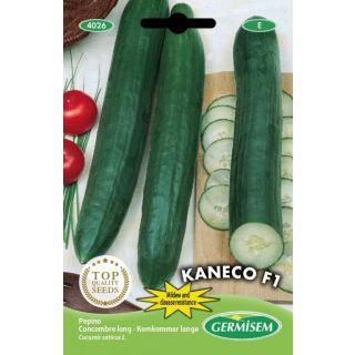Compra PEPINO KANECO F1 (8 Semillas). en la tienda online Fito Agrícola