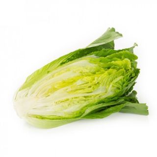 Compra LECHUGA GALACTITA RZ Pildorada (5.000 Semillas). en la tienda online Fito Agrícola