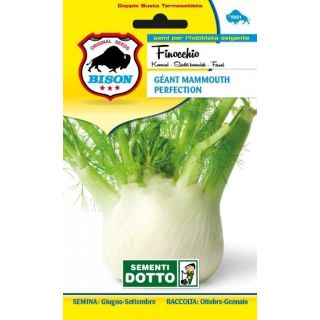 Compra HINOJO GIGANTE MAMMOUTH PERFECTION (1 gr.). en la tienda online Fito Agrícola