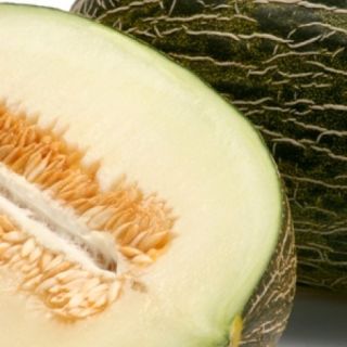 Compra MELÓN REYMIEL RZ F1 (1000 Semillas). en la tienda online Fito Agrícola