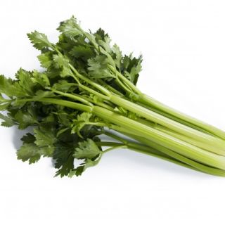 Compra APIO NANAKI RZ F1 Pildorado (10.000 Semillas) en la tienda online Fito Agrícola