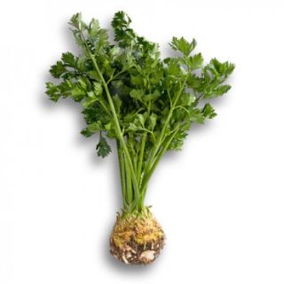 Compra APIO RÁBANO CISKO RZ Pildorado (10.000 Semillas) en la tienda online Fito Agrícola