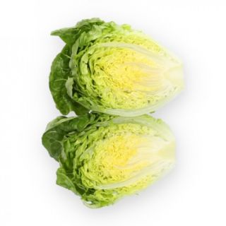 Compra LECHUGA ALCOY RZ Pildorada (5.000 Semillas) en la tienda online Fito Agrícola