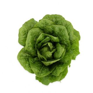 Compra LECHUGA SORIANO RZ Pildorada (5.000 Semillas) en la tienda online Fito Agrícola