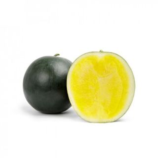 Compra SANDÍA TROPICAL SUNSHINE RZ F1 Precisión (1000 Semillas). en la tienda online Fito Agrícola