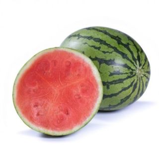 Compra SANDÍA CORALZINHO RZ F1 Precisión (1000 Semillas). en la tienda online Fito Agrícola