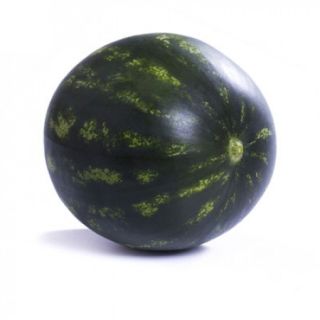 Compra SANDÍA LUSITANA RZ F1 Precisión (1000 Semillas). en la tienda online Fito Agrícola