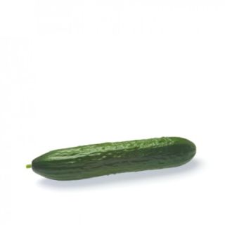 Compra PEPINO MEDIA RZ F1 Precisión (1000 Semillas). en la tienda online Fito Agrícola