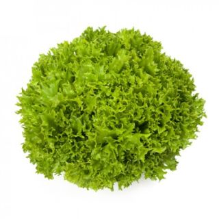 Compra LECHUGA EXACT RZ Pildorada (5.000 Semillas). en la tienda online Fito Agrícola