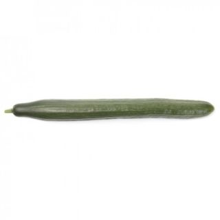 Compra PEPINO JUNGLA RZ F1 Precisión (1000 Semillas). en la tienda online Fito Agrícola