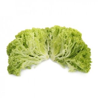 Compra LECHUGA VINCAS RZ Pildorada (5.000 Semillas). en la tienda online Fito Agrícola