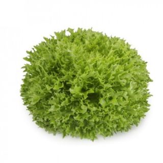 Compra LECHUGA EXTEMP RZ Pildorada (5.000 Semillas). en la tienda online Fito Agrícola