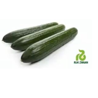 Compra PEPINO FORAMI RZ F1 Precisión (1000 Semillas). en la tienda online Fito Agrícola