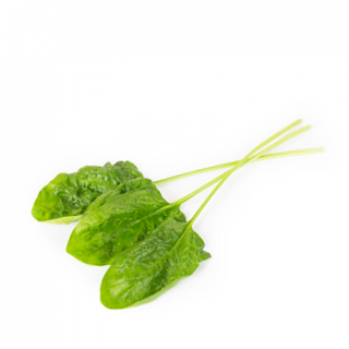 Compra ESPINACA SEROW RZ F1 BABY LEAF (1.000.000 Semillas) en la tienda online Fito Agrícola