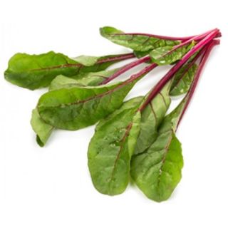 Compra ACELGA CHARBELL RZ F-1 Precisión (100.000 Semillas) en la tienda online Fito Agrícola