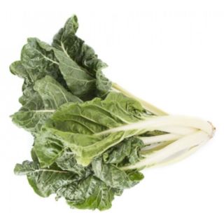 Compra ACELGA CHARSANO RZ F-1 BABY LEAF Precisión (100.000 Semillas) en la tienda online Fito Agrícola