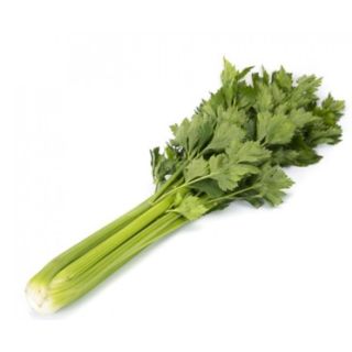 Compra APIO ARITRA RZ F1 Pildorado (10.000 Semillas) en la tienda online Fito Agrícola